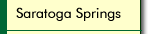 About the Saratoga Springs area